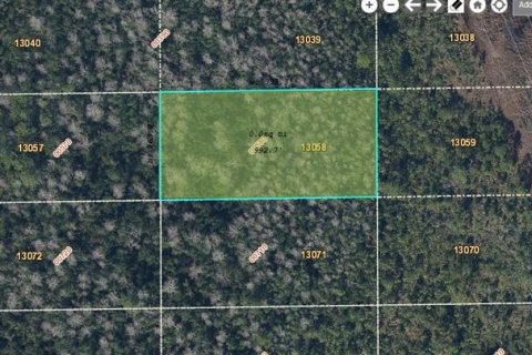 Land in Orlando, Florida № 2161397