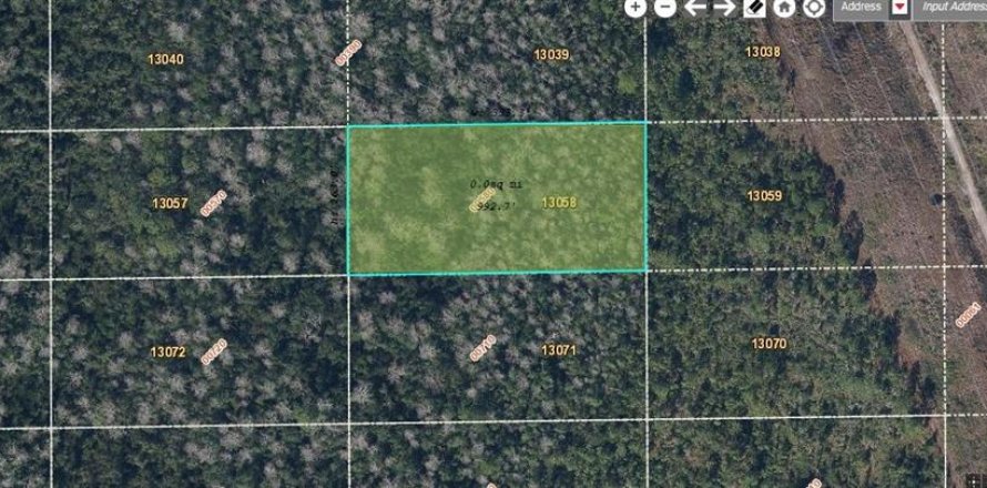 Land in Orlando, Florida № 2161397
