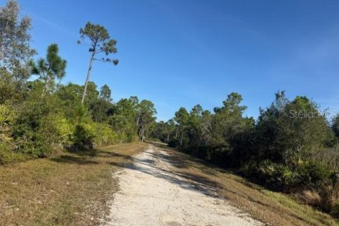 Land in Punta Gorda, Florida № 2159991