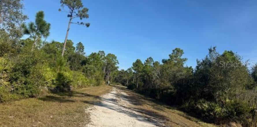 Land in Punta Gorda, Florida № 2159991