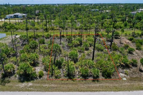 Land in Port Charlotte, Florida № 2226886