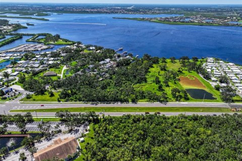 Land in Ellenton, Florida № 1901172 - photo 3