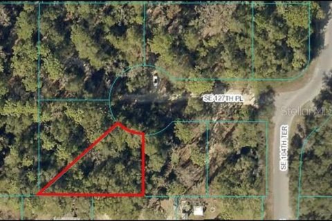 Land in Belleview, Florida № 2166119