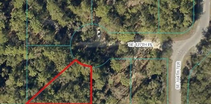 Land in Belleview, Florida № 2166119