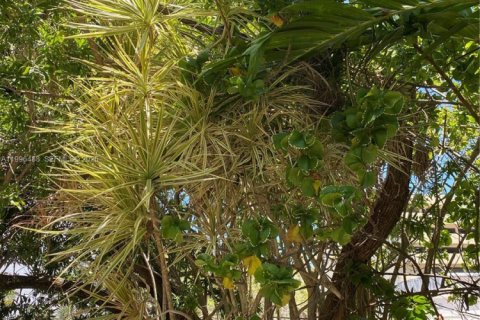 Condo in Coral Gables, Florida, 1 bedroom  № 2066223 - photo 7