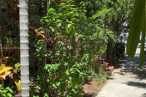 Condo in Coral Gables, Florida, 1 bedroom  № 2066223 - photo 5