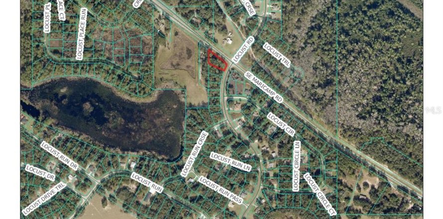 Land in Ocklawaha, Florida № 2196379