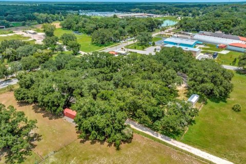 Commercial property in Dover, Florida № 1374070 - photo 4