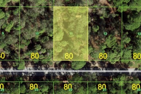 Land in Port Charlotte, Florida № 2239812