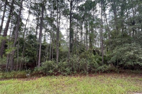 Terreno en venta en Georgetown, Florida № 2165158 - foto 4
