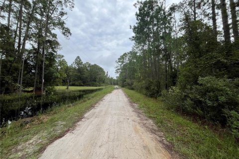 Terreno en venta en Georgetown, Florida № 2165158 - foto 5