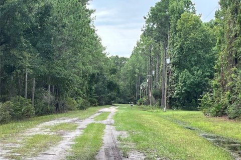 Terreno en venta en Georgetown, Florida № 2165158 - foto 3