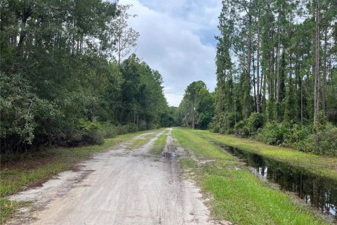 Terreno en venta en Georgetown, Florida № 2165158 - foto 2