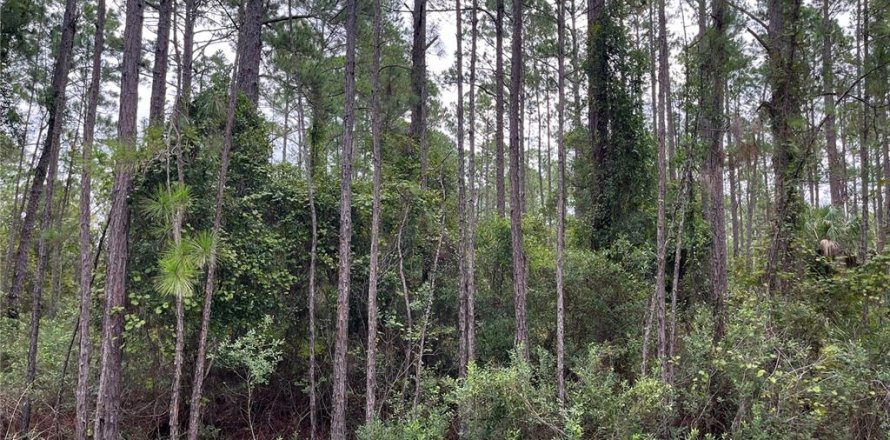 Terreno en Georgetown, Florida № 2165158