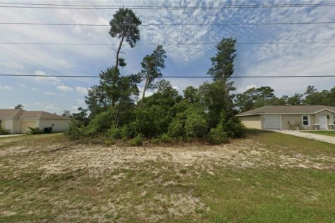 Terrain à vendre à Ocala, Floride № 2098587 - photo 3