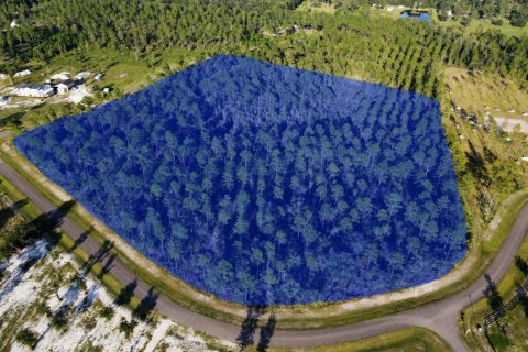 Terreno en venta en Bryceville, Florida № 771493 - foto 1