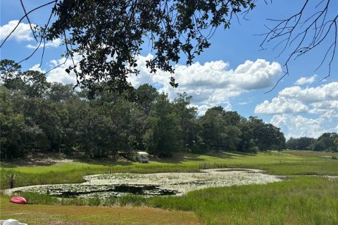 Terrain à vendre à Ocklawaha, Floride № 2235078 - photo 6