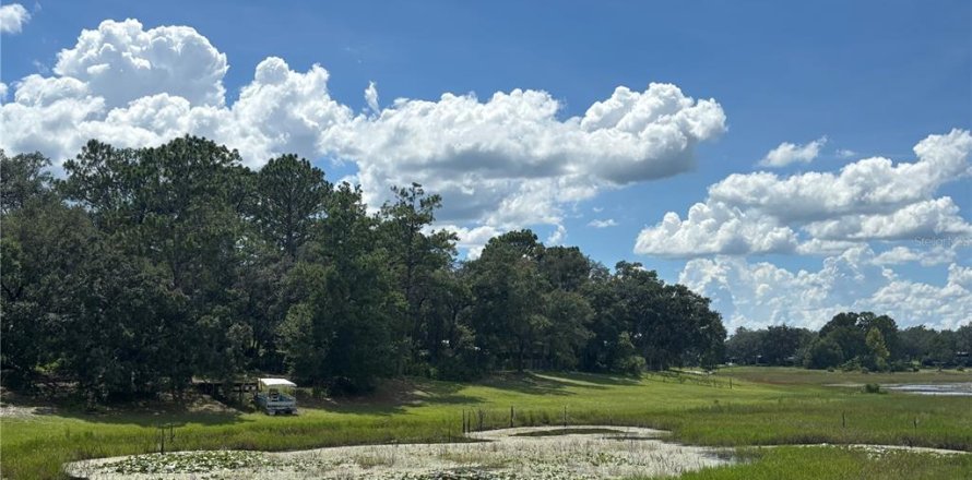 Terrain à Ocklawaha, Floride № 2235078