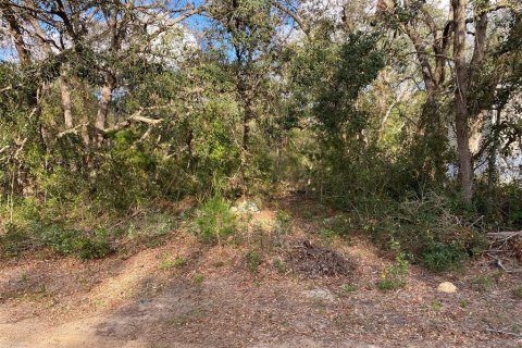 Land in Lady Lake, Florida № 2163148 - photo 2