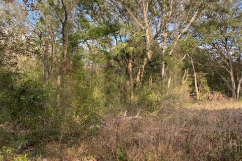 Land in Lady Lake, Florida № 2163148 - photo 5