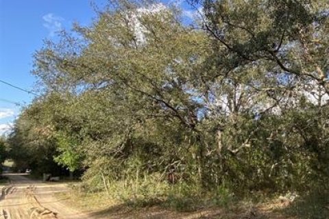 Land in Lady Lake, Florida № 2163148 - photo 6