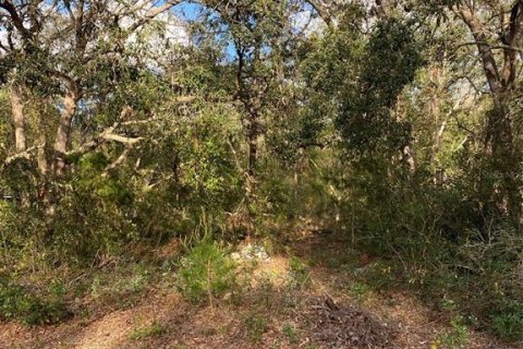 Terreno en Lady Lake, Florida № 2163148
