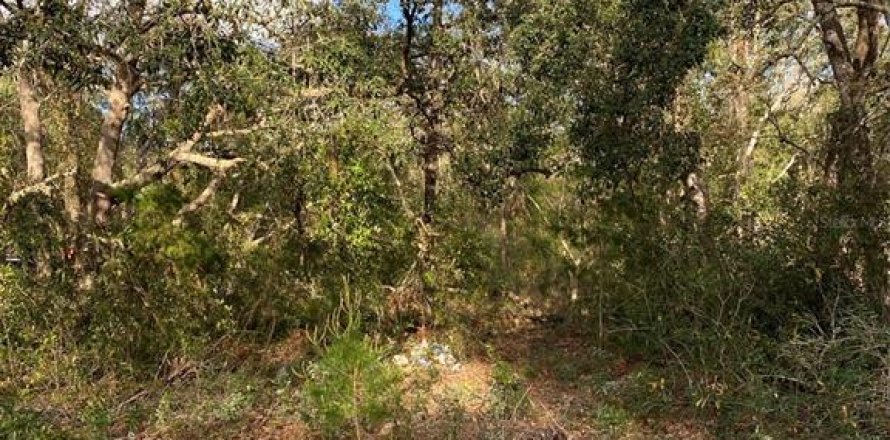 Land in Lady Lake, Florida № 2163148