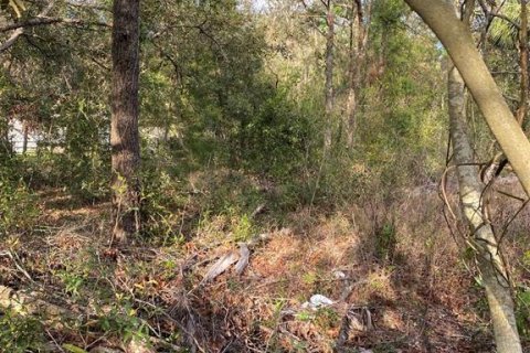 Land in Lady Lake, Florida № 2163148 - photo 4