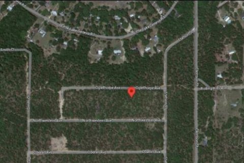 Land in Keystone Heights, Florida № 2163503 - photo 4