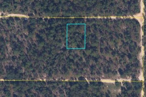 Land in Keystone Heights, Florida № 2163503 - photo 2