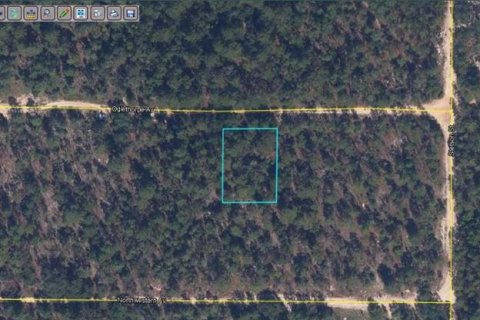 Land in Keystone Heights, Florida № 2163503
