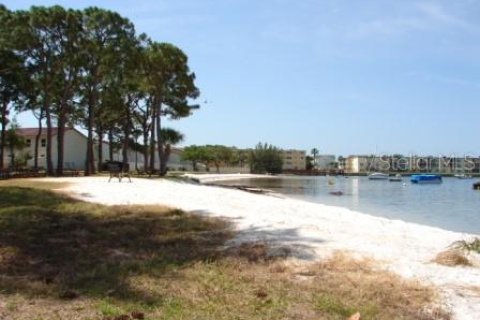 Copropriété à louer à Dunedin, Floride: 1 chambre, 62.24 m2 № 2122352 - photo 19