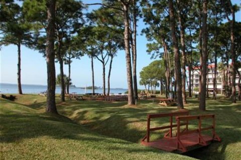 Copropriété à louer à Dunedin, Floride: 1 chambre, 62.24 m2 № 2122352 - photo 21