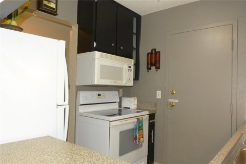 Copropriété à louer à Dunedin, Floride: 1 chambre, 62.24 m2 № 2122352 - photo 11