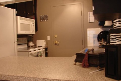 Copropriété à louer à Dunedin, Floride: 1 chambre, 62.24 m2 № 2122352 - photo 7