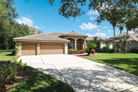 House in Oldsmar, Florida 4 bedrooms, 357.67 sq.m. № 2150875