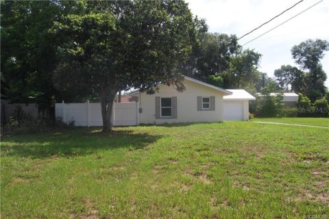 Villa ou maison à vendre à Inverness, Floride: 3 chambres, 113.99 m2 № 1830017 - photo 3