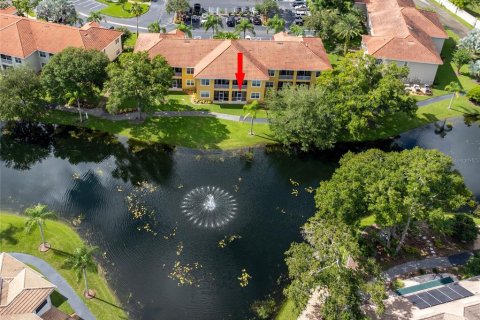 Condo in Land O' Lakes, Florida, 2 bedrooms  № 2371322