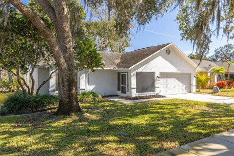 Villa ou maison à Palm Harbor, Floride 2 chambres, 136.19 m2 № 2096749