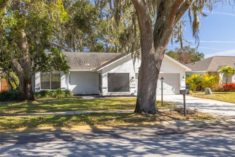 Villa ou maison à vendre à Palm Harbor, Floride: 2 chambres, 136.19 m2 № 2096749 - photo 29
