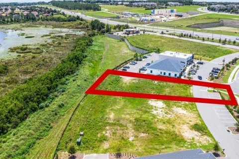 Land in Clermont, Florida № 1894056 - photo 14