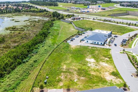 Land in Clermont, Florida № 1894056 - photo 5