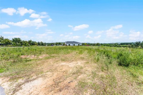 Land in Clermont, Florida № 1894056 - photo 12