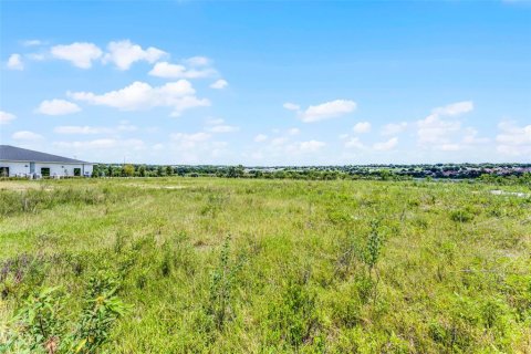 Land in Clermont, Florida № 1894056 - photo 11