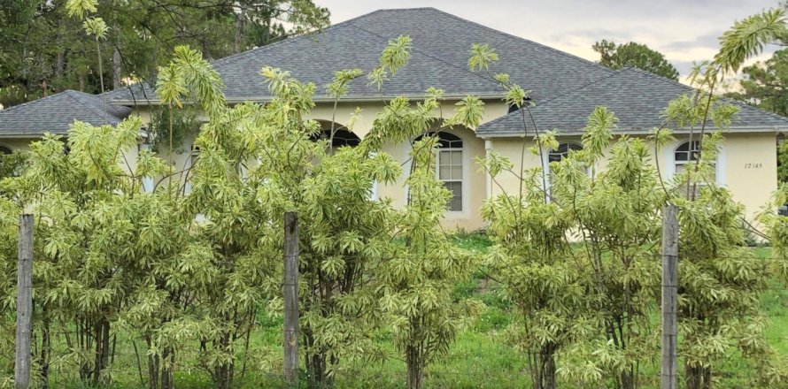 House in The Acreage, Florida 4 bedrooms, 258.27 sq.m. № 1228470