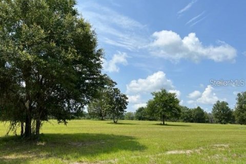 Terrain à vendre à Ocala, Floride № 1533844 - photo 2