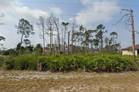 Land in Placida, Florida № 2160524 - photo 3