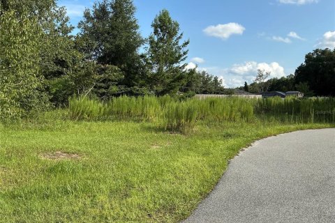 Land in Ocala, Florida № 2312431