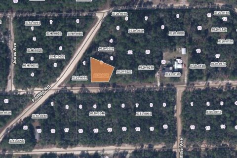 Land in Interlachen, Florida № 2161878