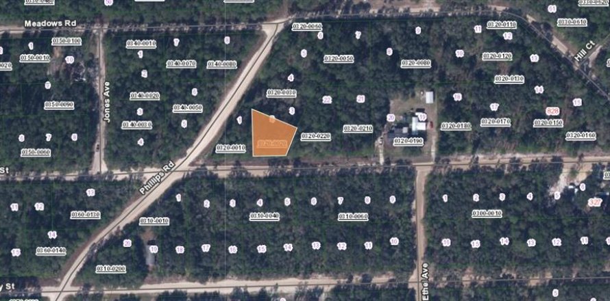 Land in Interlachen, Florida № 2161878